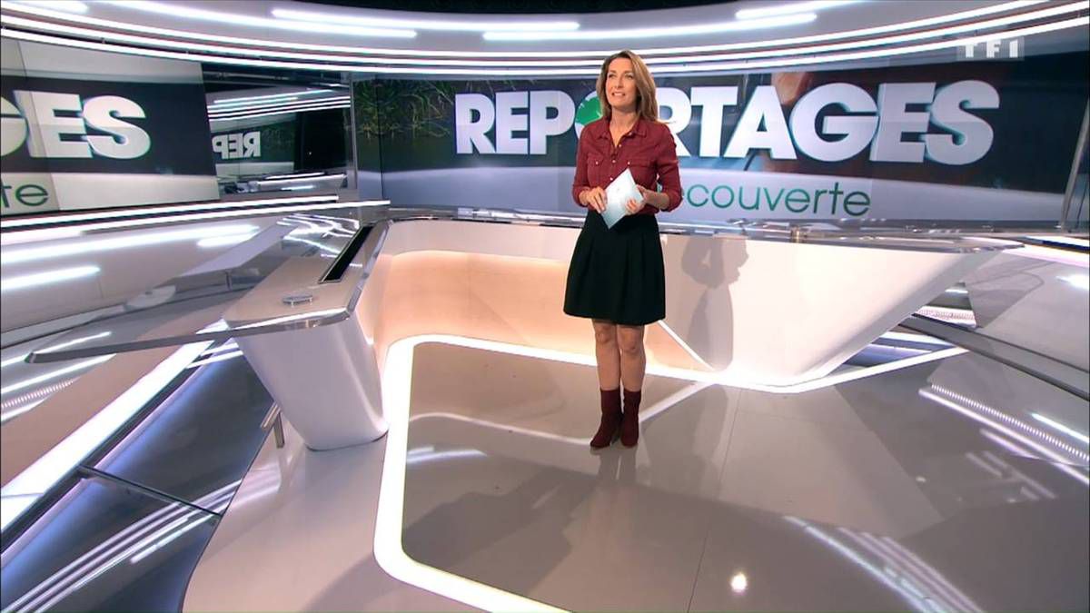 Anne-Claire Coudray JT 13H TF1 le 29.10.2016 - Les Caps de TomA