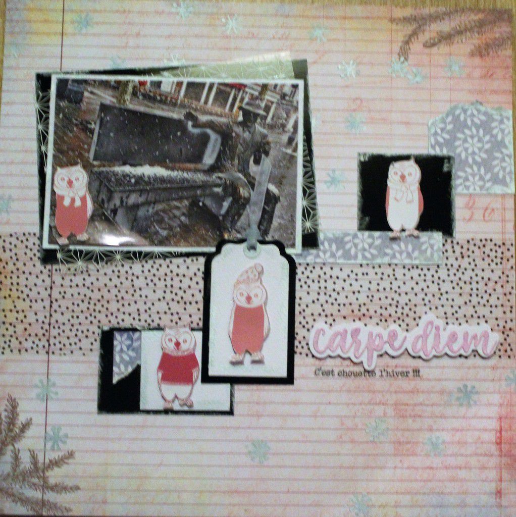Page - Scrap - plaisir - mousse - nuvo - embellishment - huygge - overlay - ateliers - anou - Liège