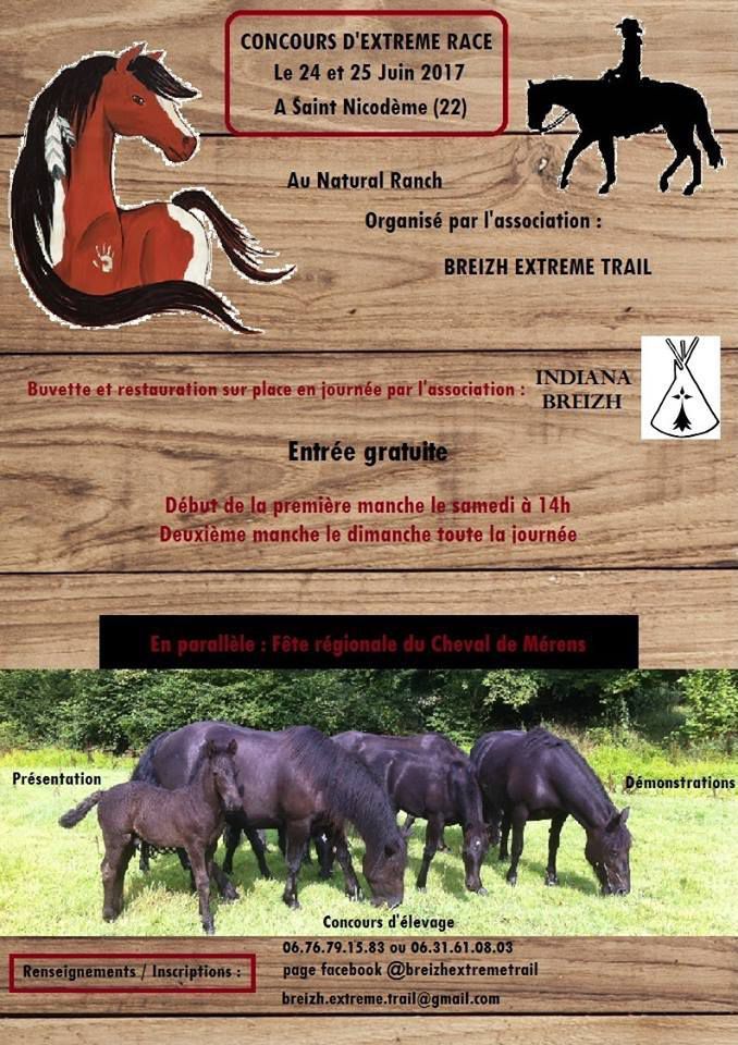 Les mérens en Bretagne - L'association Sherpa Bretagne pour la promotion du  cheval de mérens