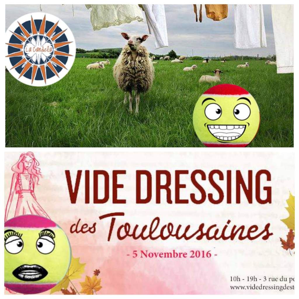Balle de dressing
