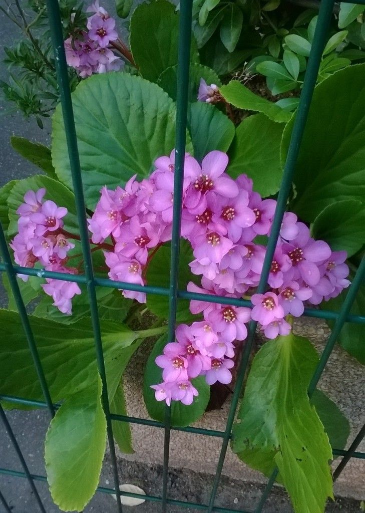 WP_20140314_002
