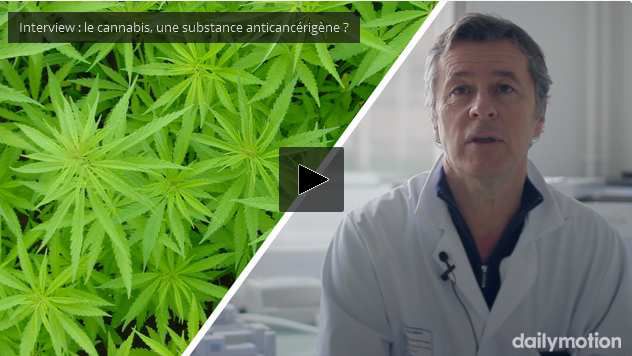 Paul Hofman Nice, Le Cannabis, une Plante anti cancer & anti COVID-19  ? 