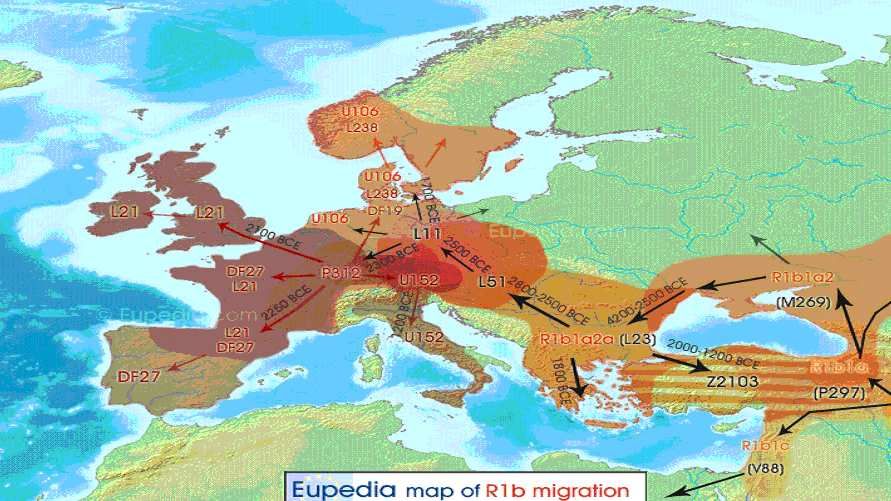 Dossier Qui étaient les ItaloCeltes Germaniques, (Haplogroupe R1bL11) à l'origine de tous Dossier Qui étaient les ItaloCeltes Germaniques, (Haplogroupe R1bL11) à l'origine de tous
