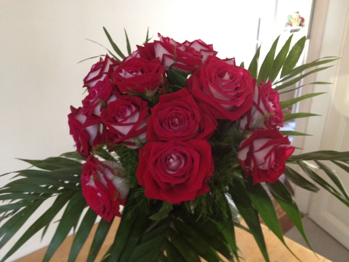 Bon Anniversaire Marie Gabrielle Masterrecherchepalliat Over Blog Com