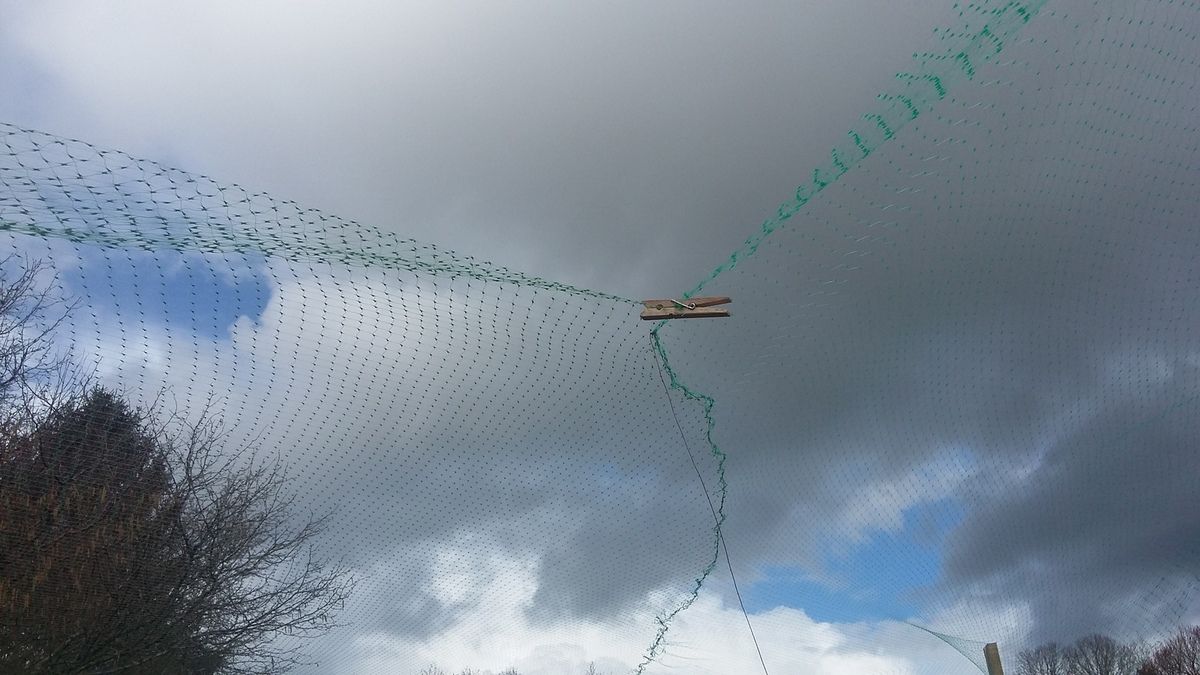 Quand Potager Rime Avec Poulailler Les Chantiers De Kervoellou