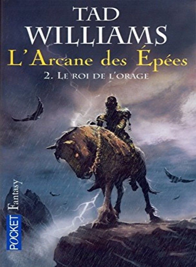 couverture le roi de l'orage