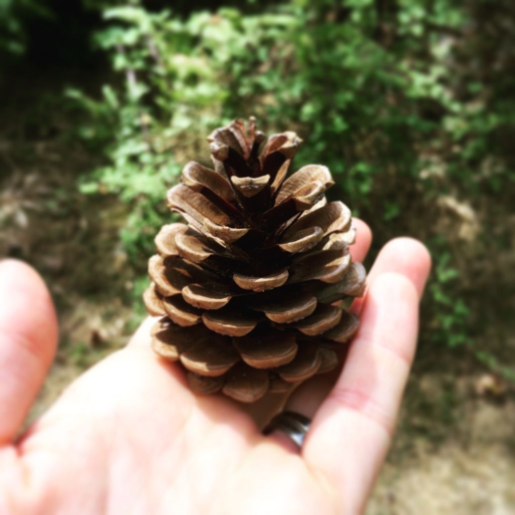 Mama Corsica Ma maman est maitresse...