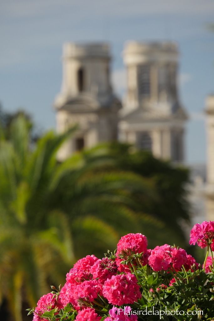 Paris Jardin du Luxembourg Eglise Saint Sulpice Fleurs Effet bokeh