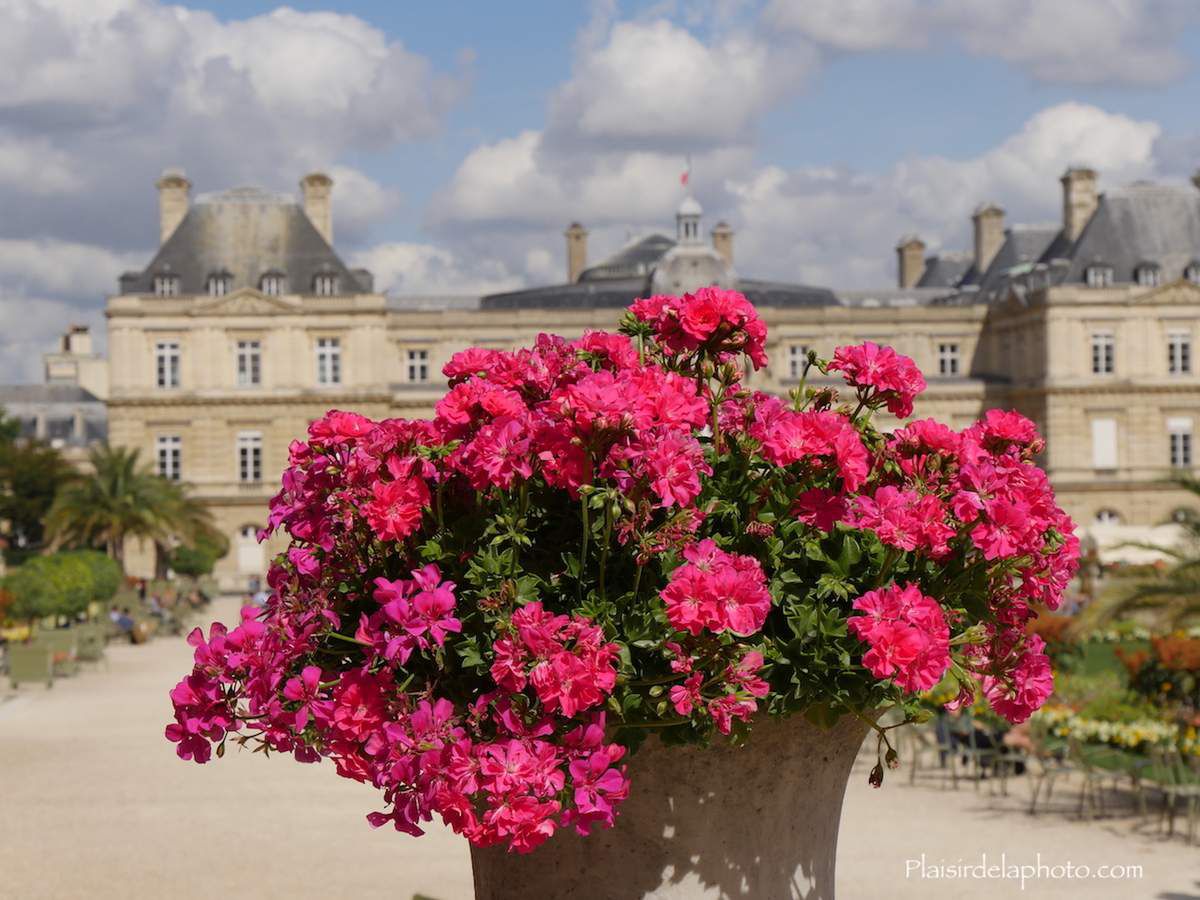 Jardin du Luxembourg et Palais du luxembourg Sénat