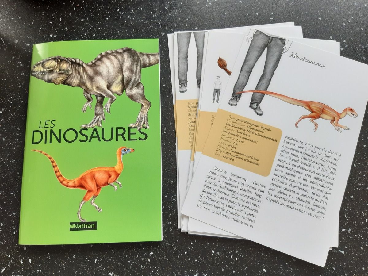Mon coffret Montessori, Dinosaures