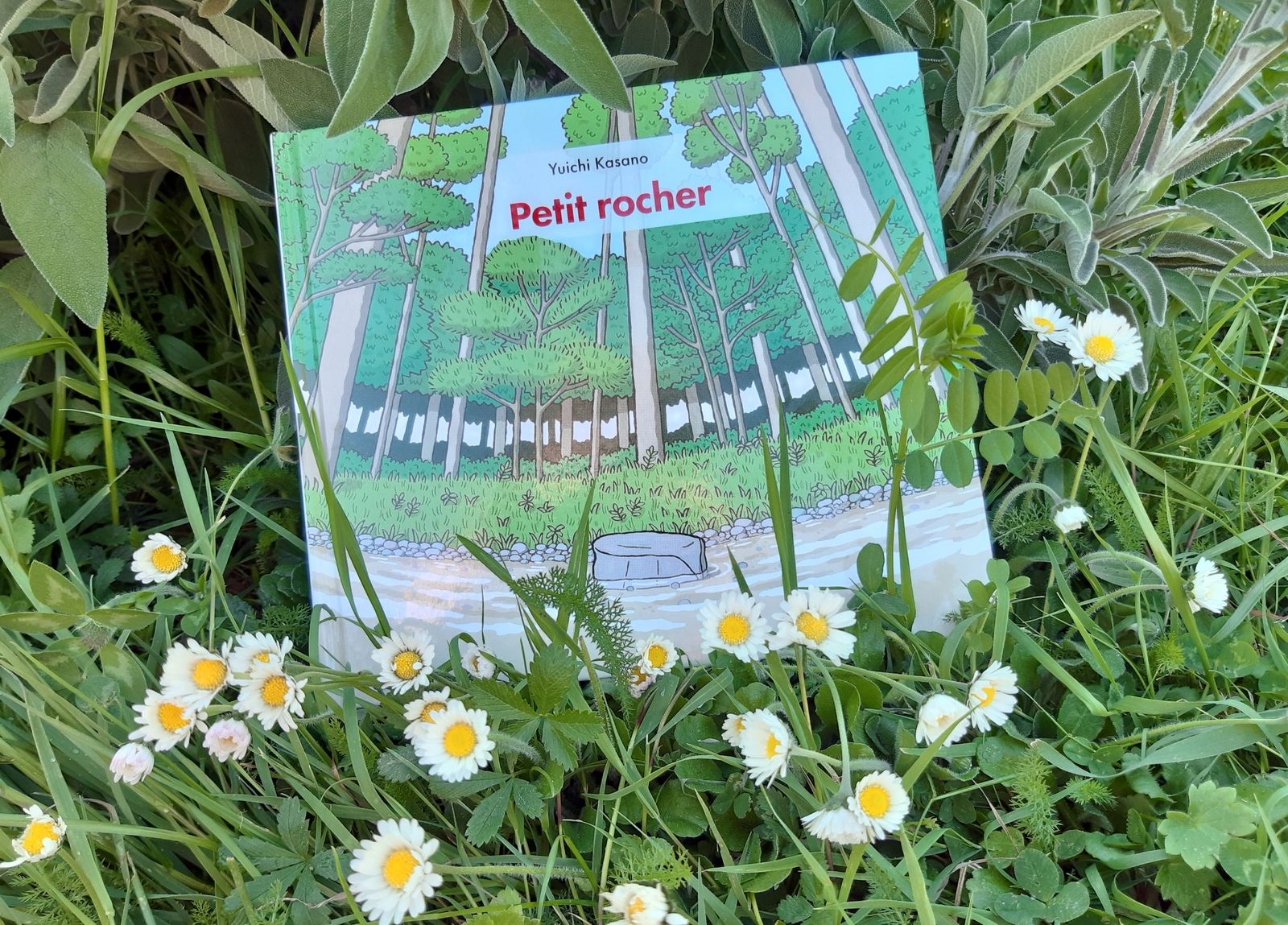 Petit rocher de Yuichi Kasano Maman Fouine