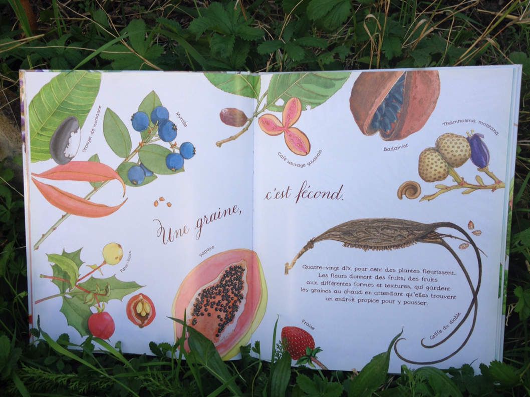 Lecture (Potager) : L'histoire d'une graine - Maman Fouine