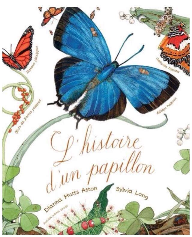 Lecture (Potager) : L'histoire d'une graine - Maman Fouine