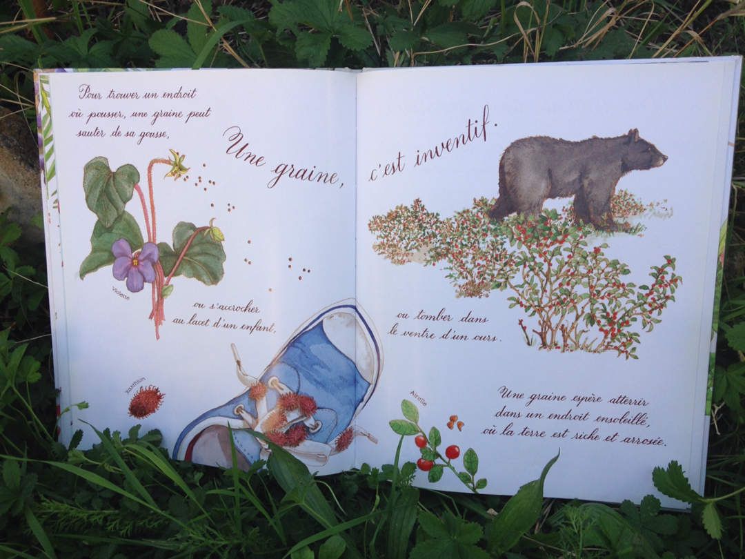 Lecture (Potager) : L'histoire d'une graine - Maman Fouine