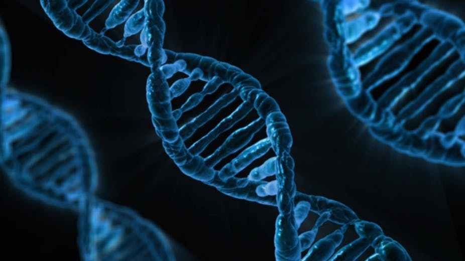 Faire Un Test Adn Pour Connaitre Ses Origines "Les documents de l'info - ADN, la recherche de nos origines" dans la