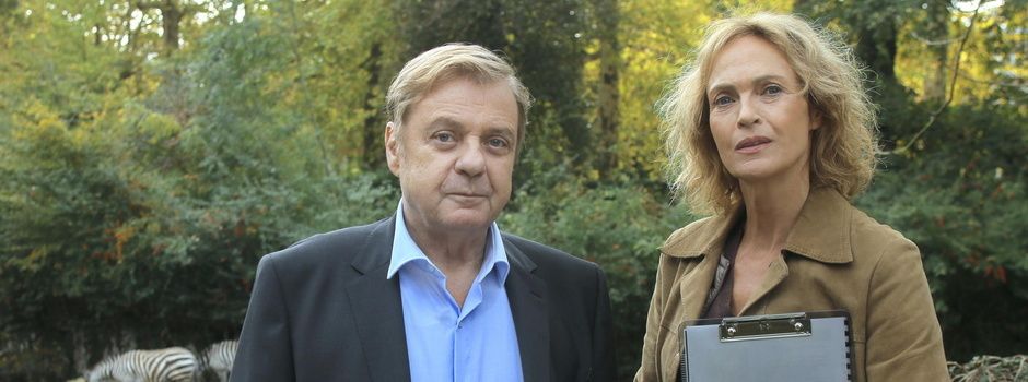 Commissaire Magellan Streaming Gratuit Saison 1 "Commissaire Magellan : Espèces protégées" samedi 02 novembre à 21h05