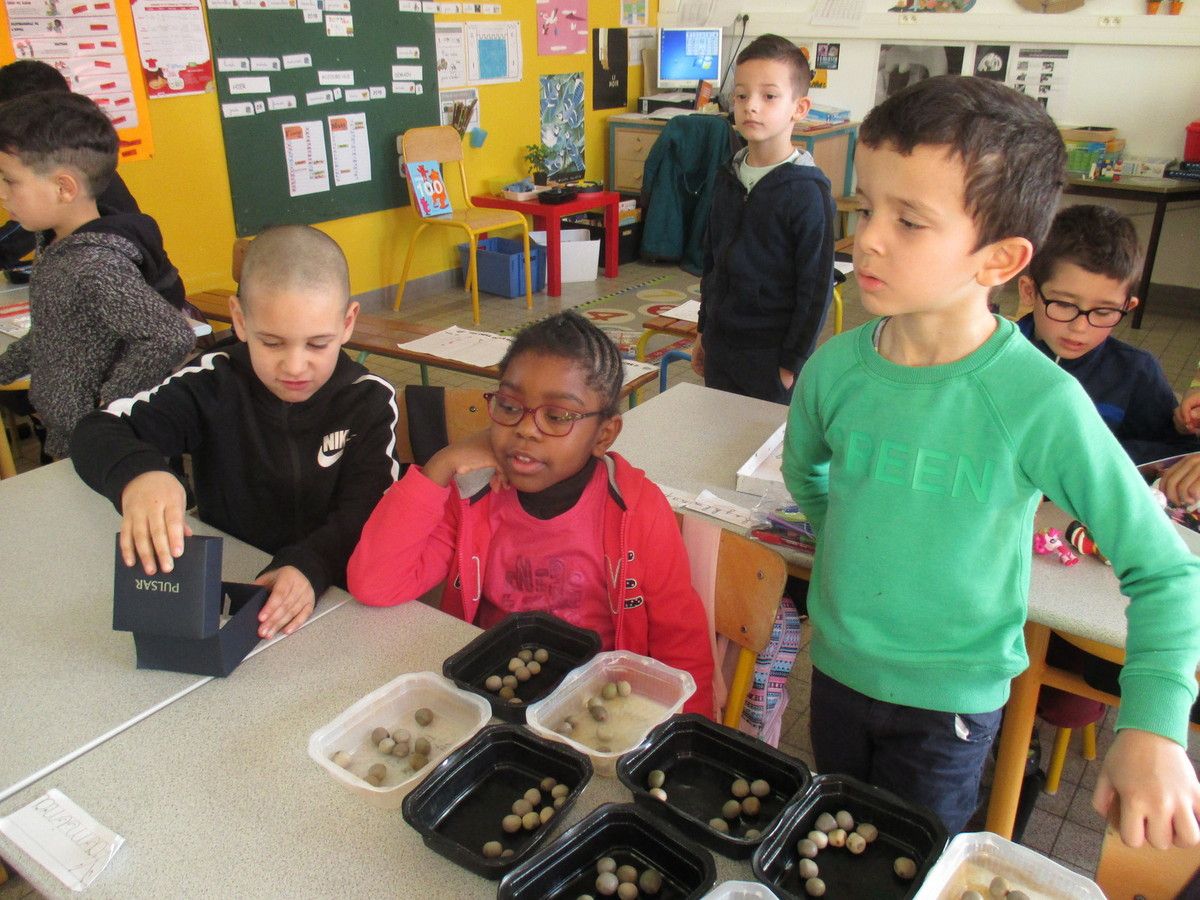Le 100eme Jour D Ecole Les Cp Ce1 Ce2 Du Petit Paris