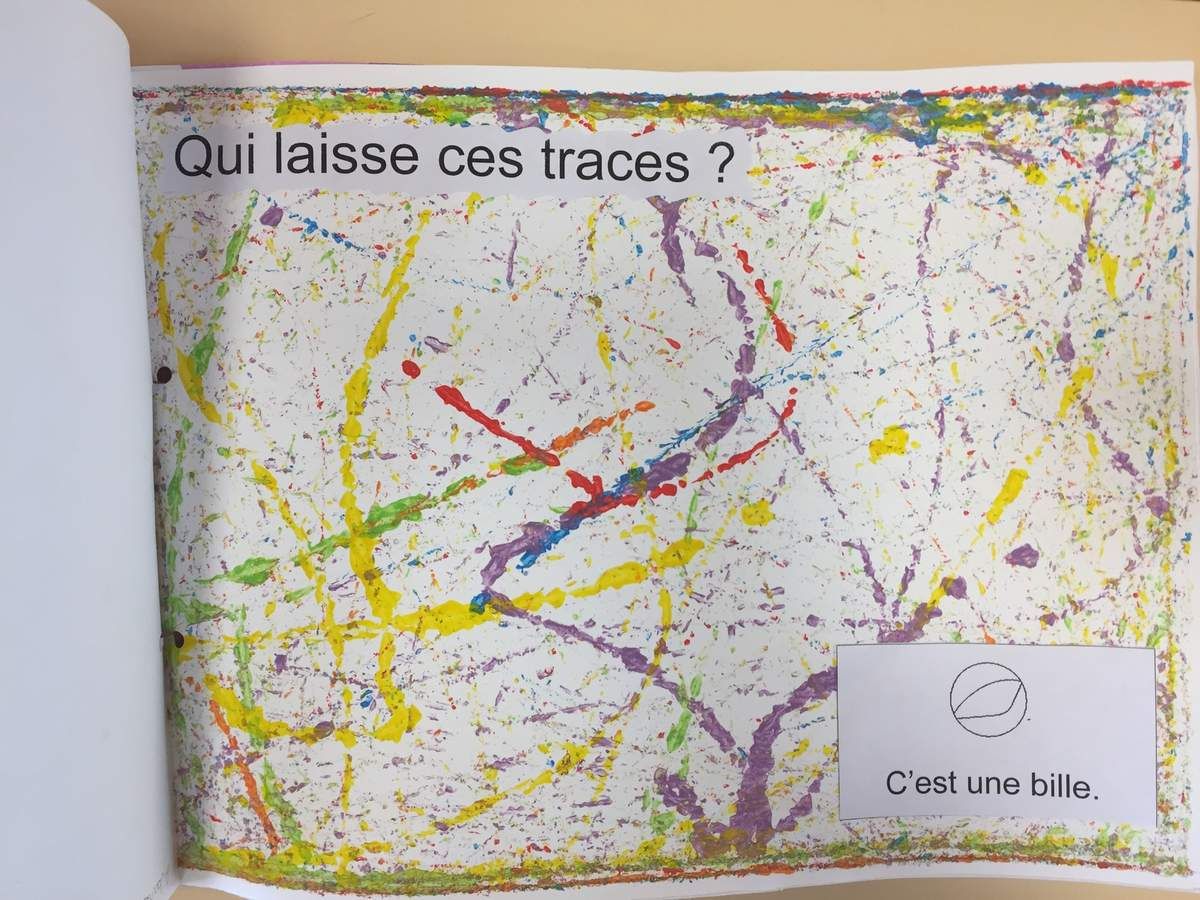 Mon livre de traces PS vis