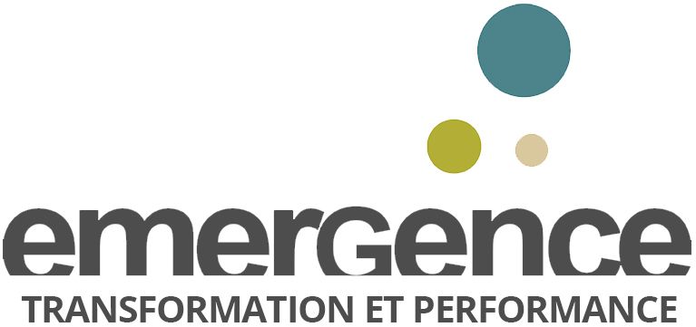 Emergence Consulting - Emmanuel Taillez