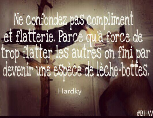 Citation De Brutus Hardky Wilky Tizanmi Over Blog Com