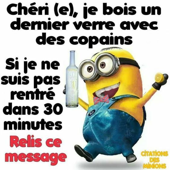 Avoir Images Si Minions Episode 3 All Over The Web dernière salutations