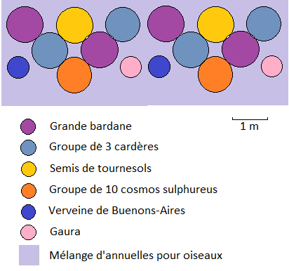 jardin oiseaux fleurs chardonnerets modèle