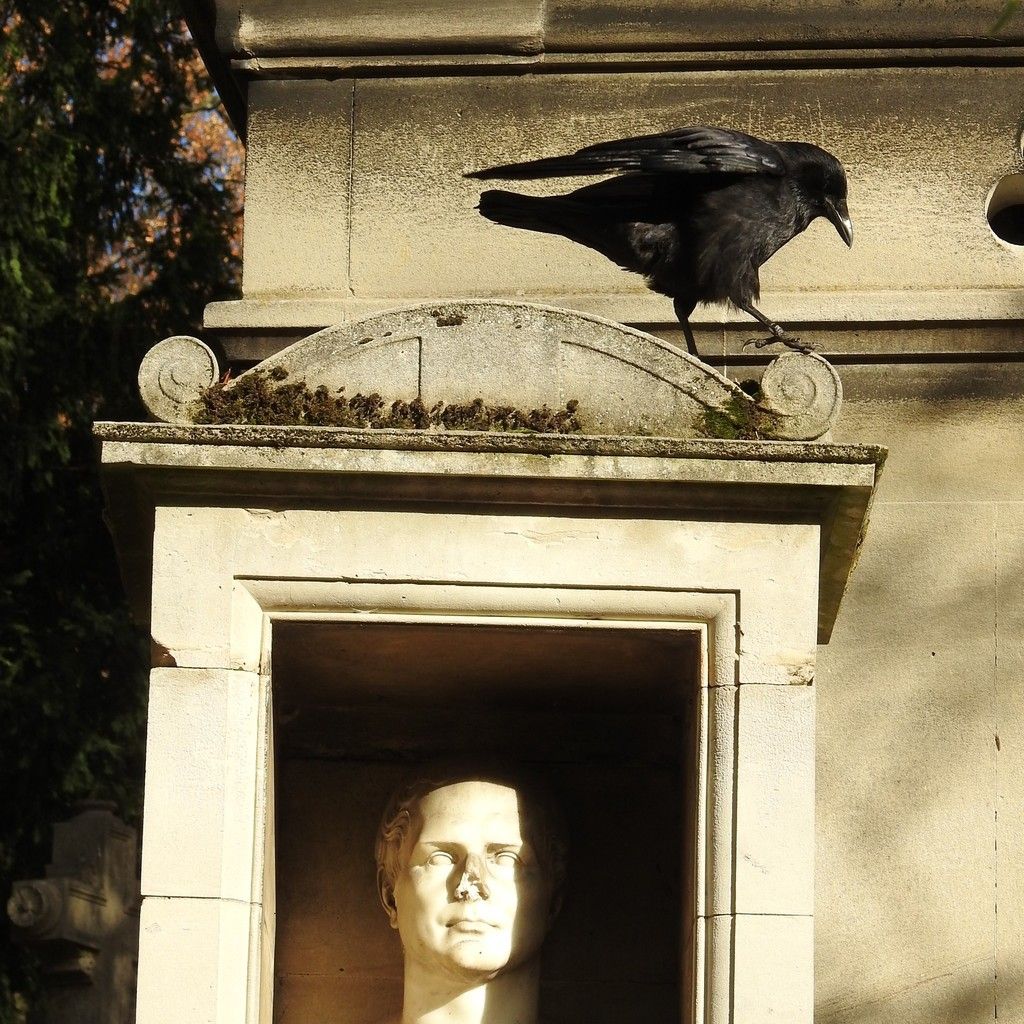 zéro phyto cimetière Père Lachaise