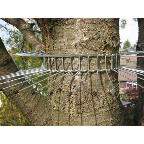 Protection Des Nichoirs Contre Les Predateurs Oiseaux Et Papillons Au Jardin Protection Des Nichoirs Contre Les Predateurs Oiseaux Et Papillons Au Jardin
