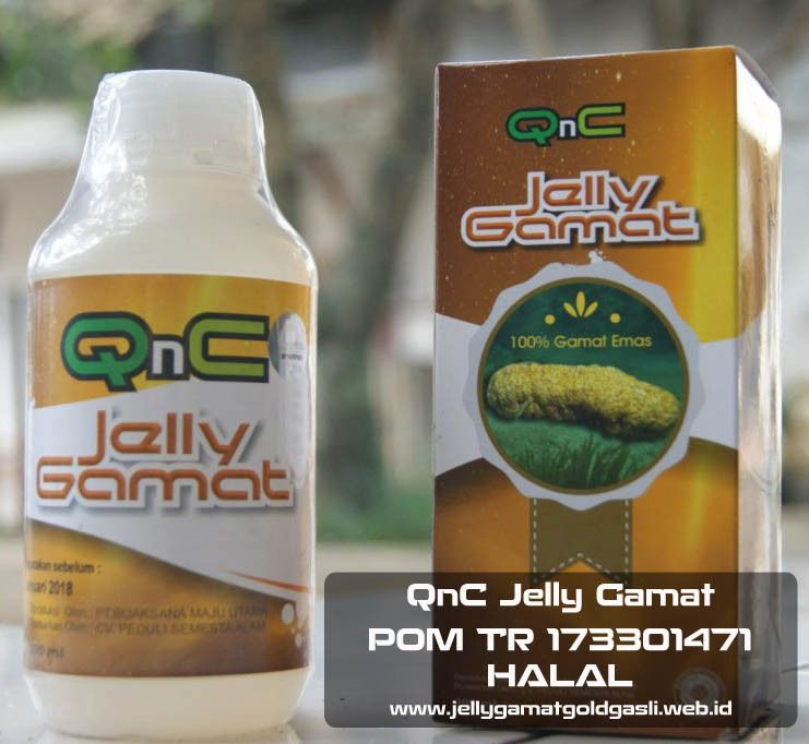Khasiat QnC Jelly Gamat Untuk Menurunkan Kolesterol Tinggi
