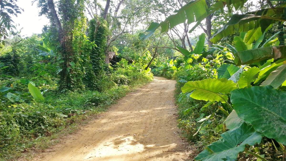15 jours en couple dans le sud de la Thailande - lolotte34 15 jours en couple dans le sud de la Thailande - lolotte34