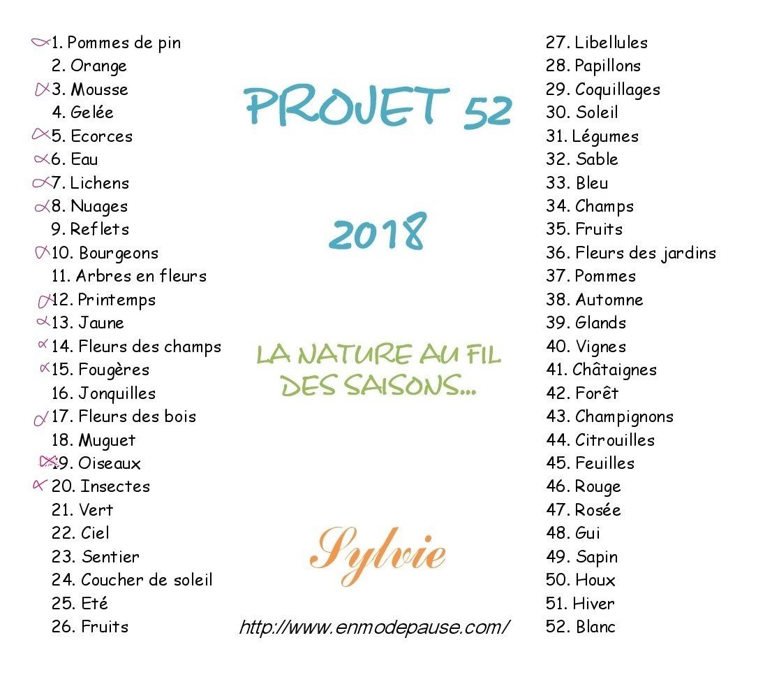 LA NATURE AU FIL DES SAISOONS