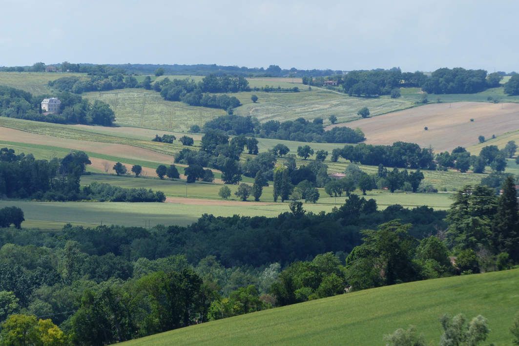 campagne gascogne - lectoure - agriculture - agriculteur - nature - travail des champs - théâtre rustique