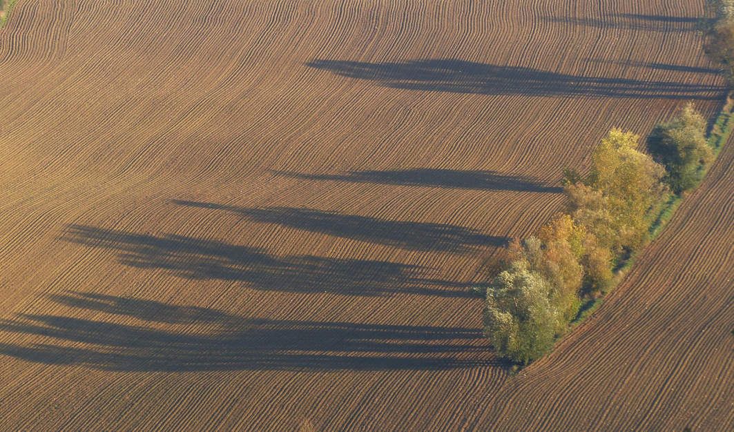 campagne gascogne - lectoure - agriculture - agriculteur - nature - travail des champs - théâtre rustique