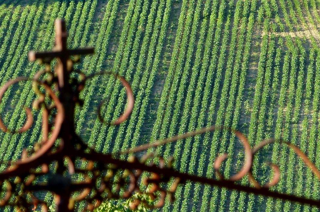 campagne gascogne - lectoure - agriculture - agriculteur - nature - travail des champs - théâtre rustique