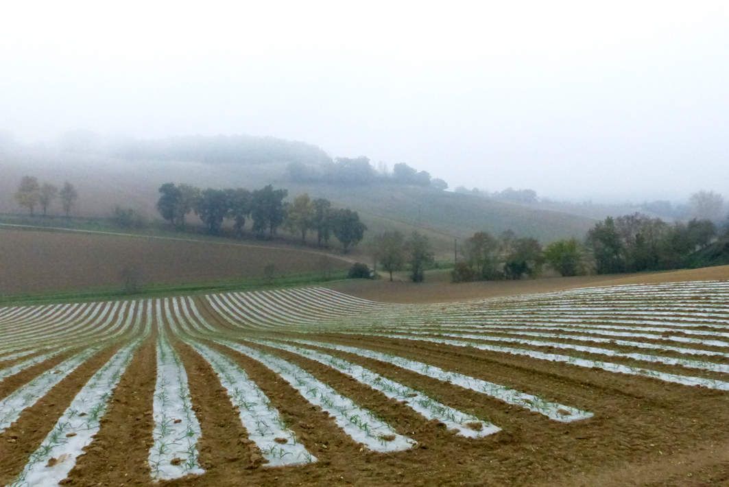 campagne gascogne - lectoure - agriculture - agriculteur - nature - travail des champs - théâtre rustique