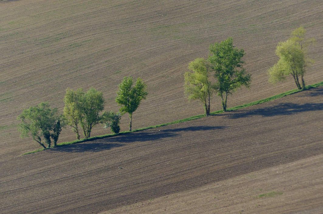 campagne gascogne - lectoure - agriculture - agriculteur - nature - travail des champs - théâtre rustique