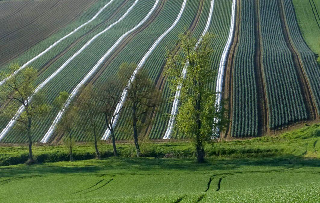 campagne gascogne - lectoure - agriculture - agriculteur - nature - travail des champs - théâtre rustique