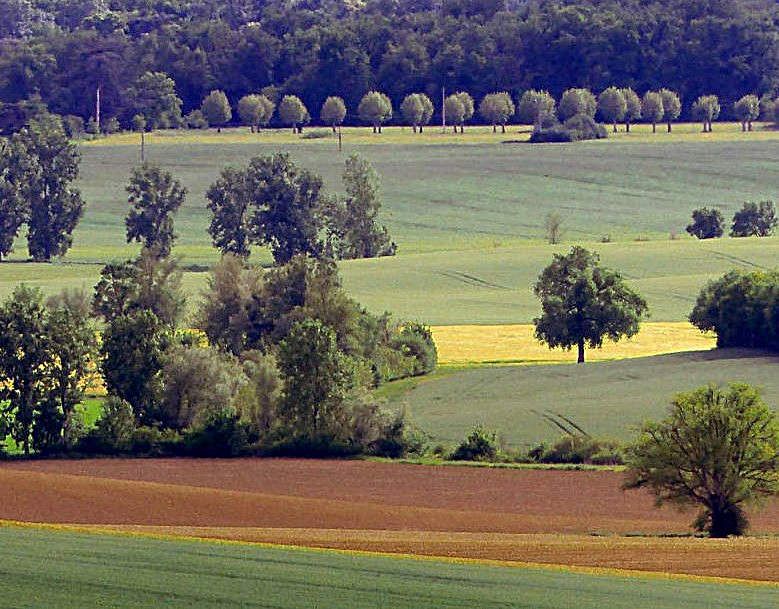 campagne gascogne - lectoure - agriculture - agriculteur - nature - travail des champs - théâtre rustique