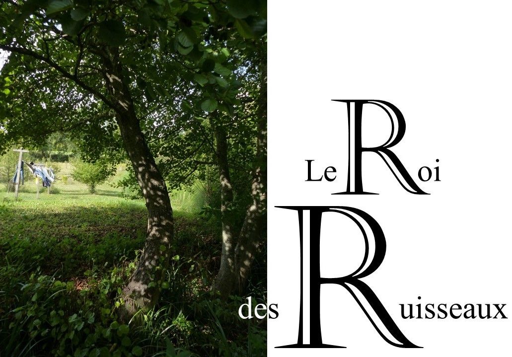 Aulne Vern Vergne Botanique Lectoure Gascogne Plante tinctoriale Ruisseau