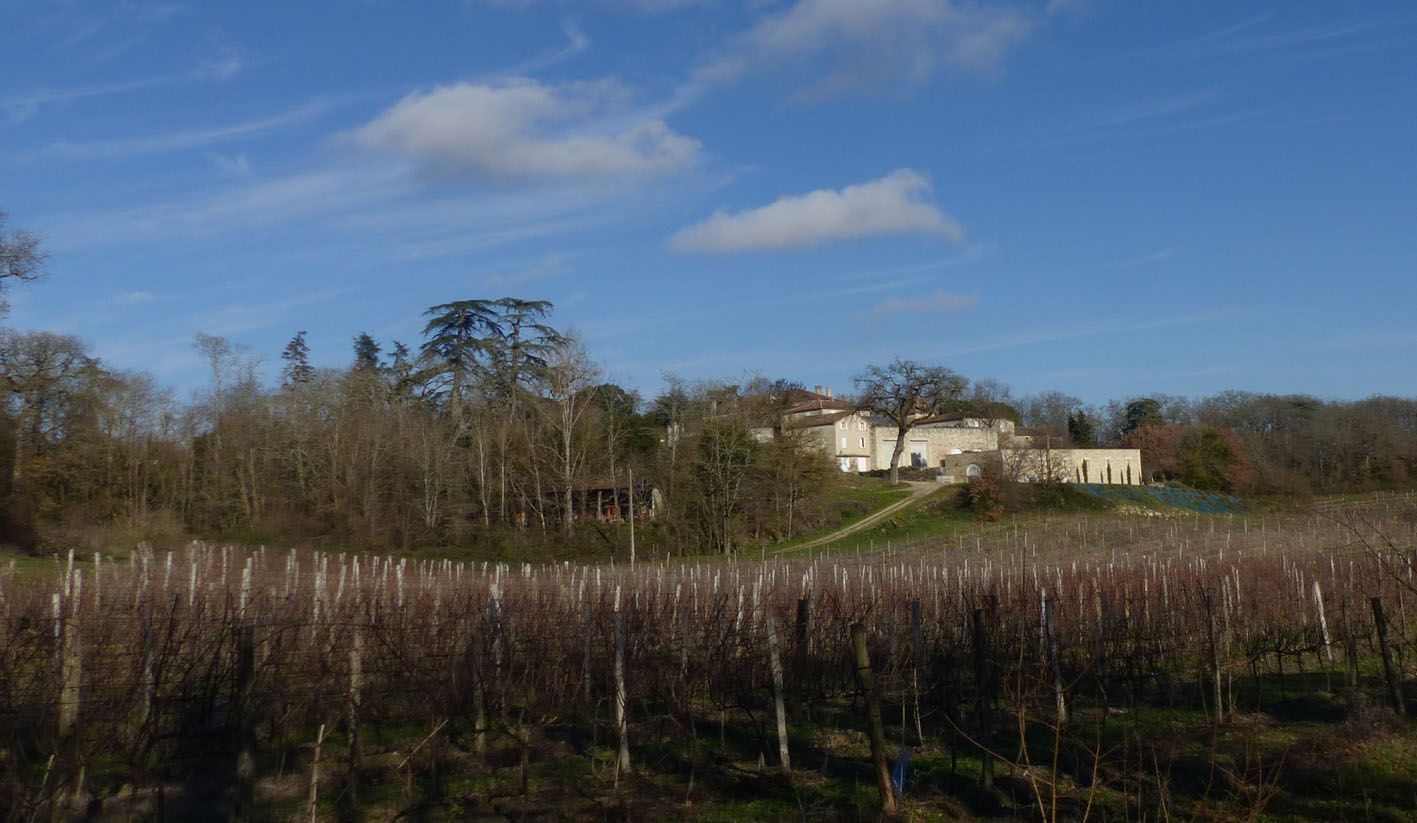 Domaine d'Arton - Lectoure - Armagnac - Côteaux de Gascogne