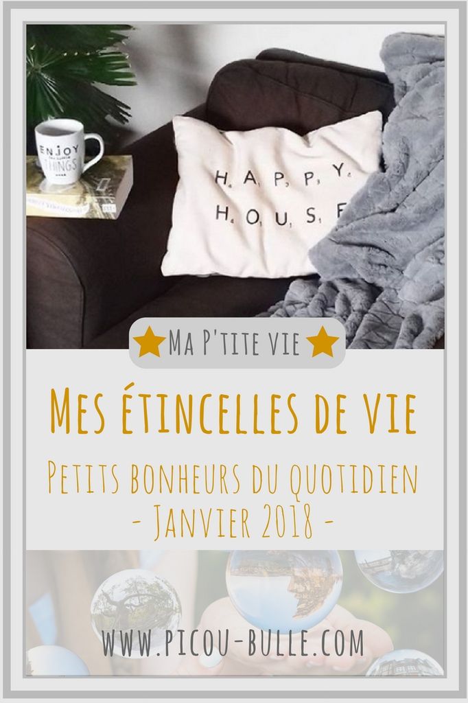 pinterest-petits-bonheurs-janvier-2018