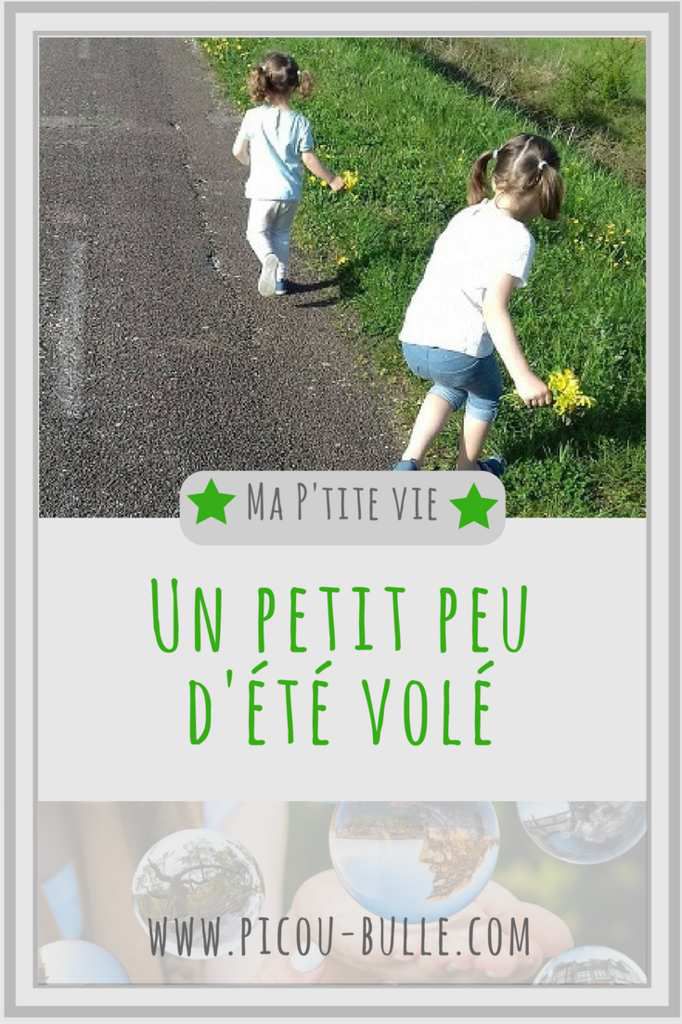 blog-maman-picou-bulle-lyon-pinterest-un-petit-peu-ete-vole