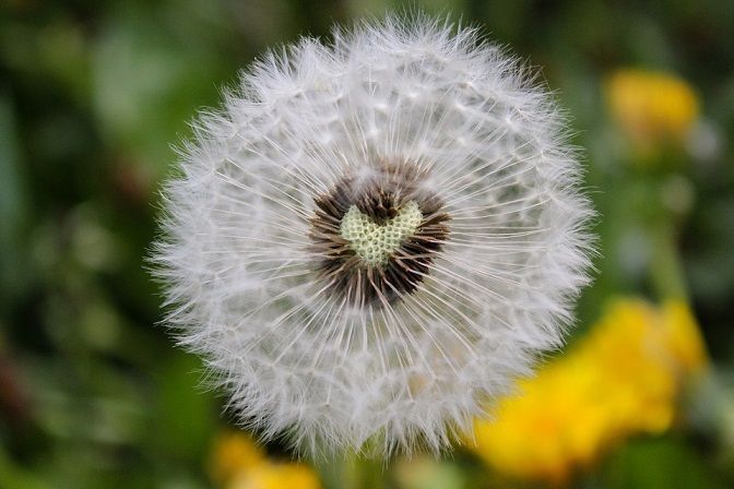 picou-bulle-blog-maman-lyon-coups-coeur-blog-avril2018