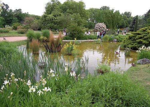 blog-maman-picou-bulle-lyon-parc-tete-or-roseraie-internationale