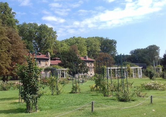 blog-maman-picou-bulle-lyon-parc-tete-or-etendues-herbe