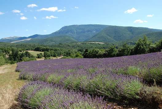 blog-maman-picou-bulle-sorties-famille-autour-lyon-drome-provencale