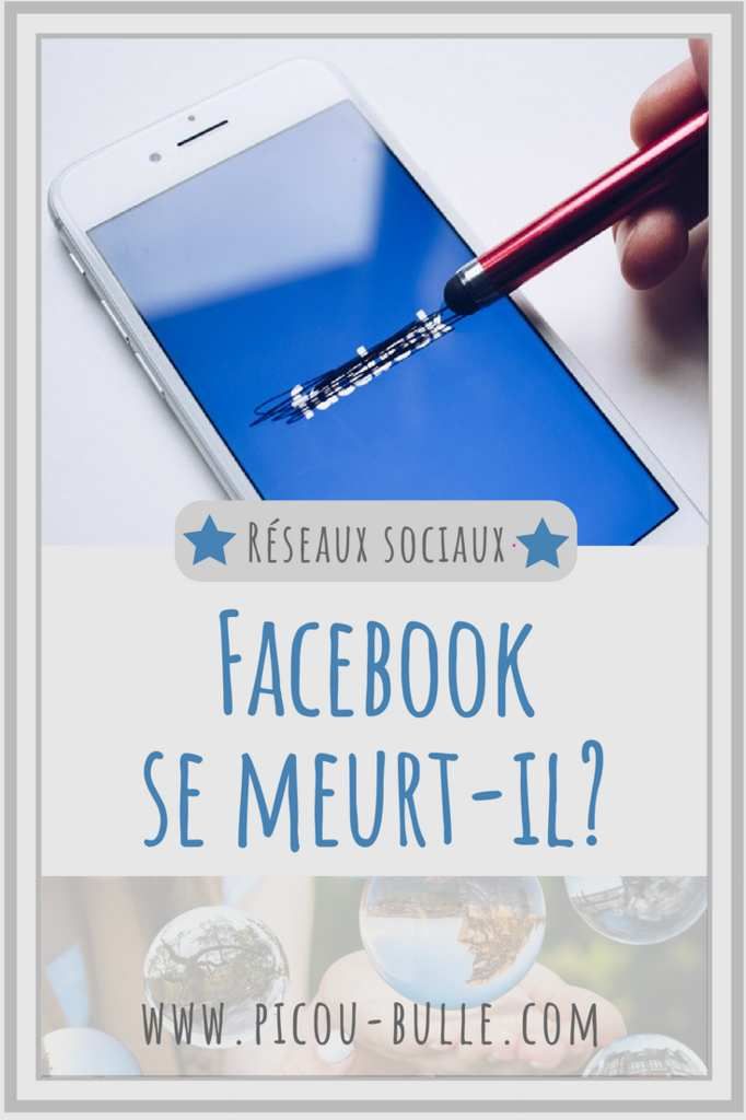blog-maman-picou-bulle-pinterest-declin-facebook