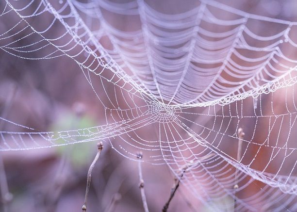 blog-maman-lyon-picou-bulle-jolis-mots-d-enfants