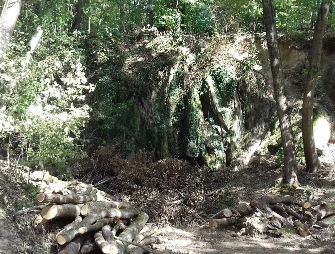 blog-maman-picou-bulle-balade-foret-lyon-bois-serres