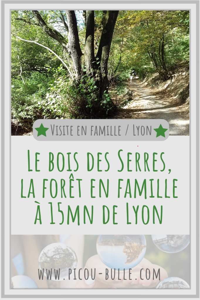 blog-maman-picou-bulle-lyon-pinterest-balade-famille-foret-Lyon